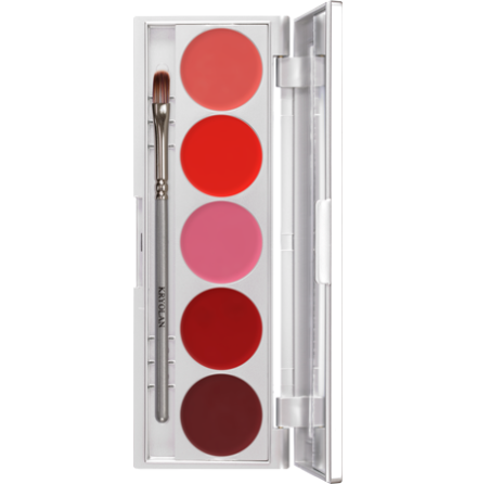 Lip Rouge Set 5 colors Performance