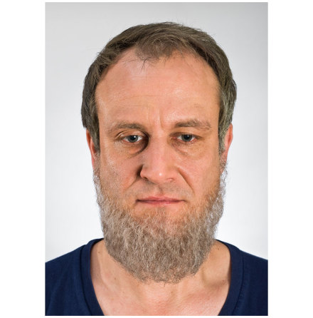 Full beard Grey